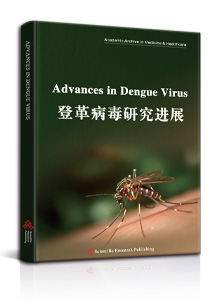 Advances in Dengue Virus