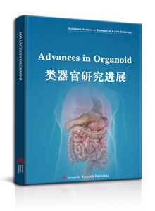 Advances in Organoid