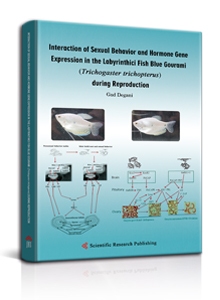 Interaction of Sexual Behavior and Hormone Gene Expression in the Labyrinthici Fish Blue Gourami (Trichogaster trichopterus) during Reproduction