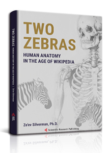 Two Zebras
Human Anatomy in the Age of Wikipedia